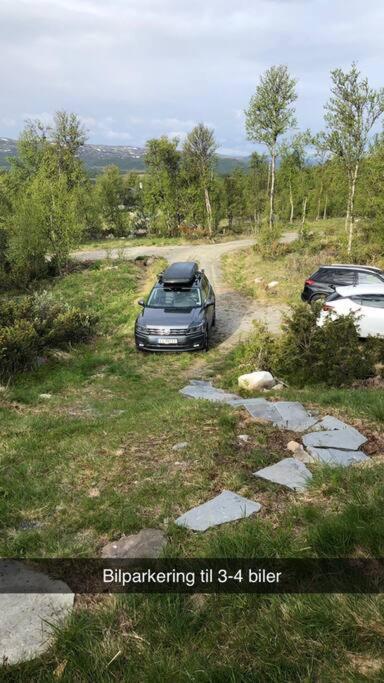 Koselig Familiehytte Pa Vakre Dagali - Naer Geilo Exterior photo